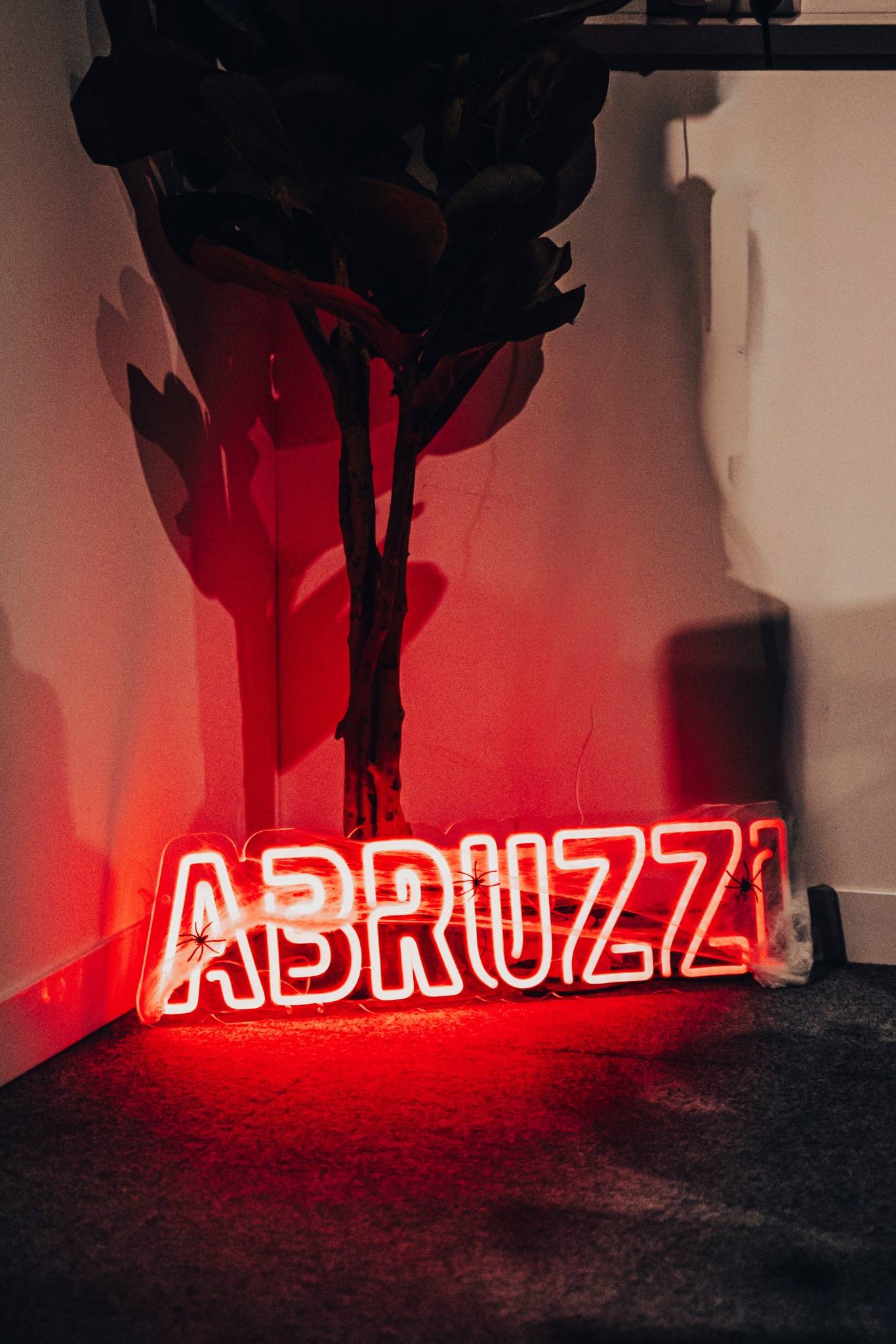 ABRUZZI CHRISTMAS SIMDOWN - 19TH DECEMBER 5pm-9pm! - Image 3